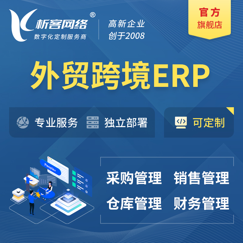 铜陵外贸跨境ERP软件生产海外仓ERP管理系统